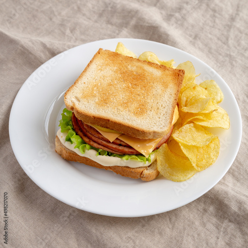Homemade Fried Bologna and Cheese Sandwich with Chips on a Plate, side view. © Liudmyla
