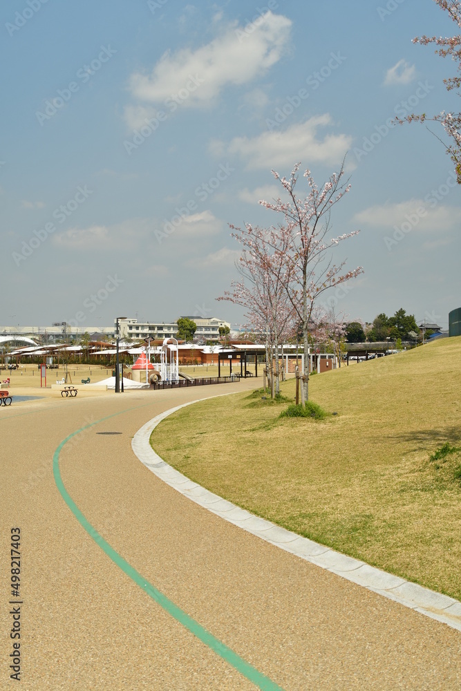 Fototapeta premium 公園を走る