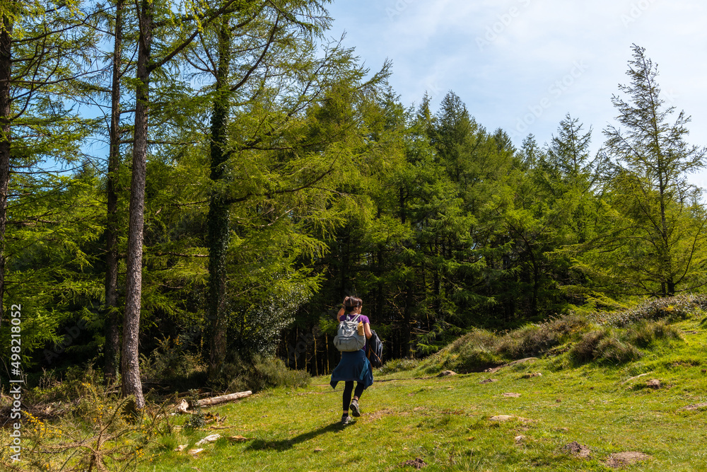 A young woman walking in the forest at the top of Mount Andatza in the town of Usurbil, Gipuzkoa. Basque Country