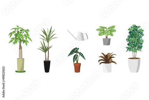 観葉植物のセットその2