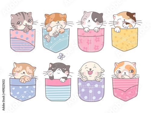 Doodle pocket cats. Kitten in pockets, happy cartoon cute cat. Fashion baby pet, adorable kittens faces. Childish mascot, kids decorative nowaday vector characters