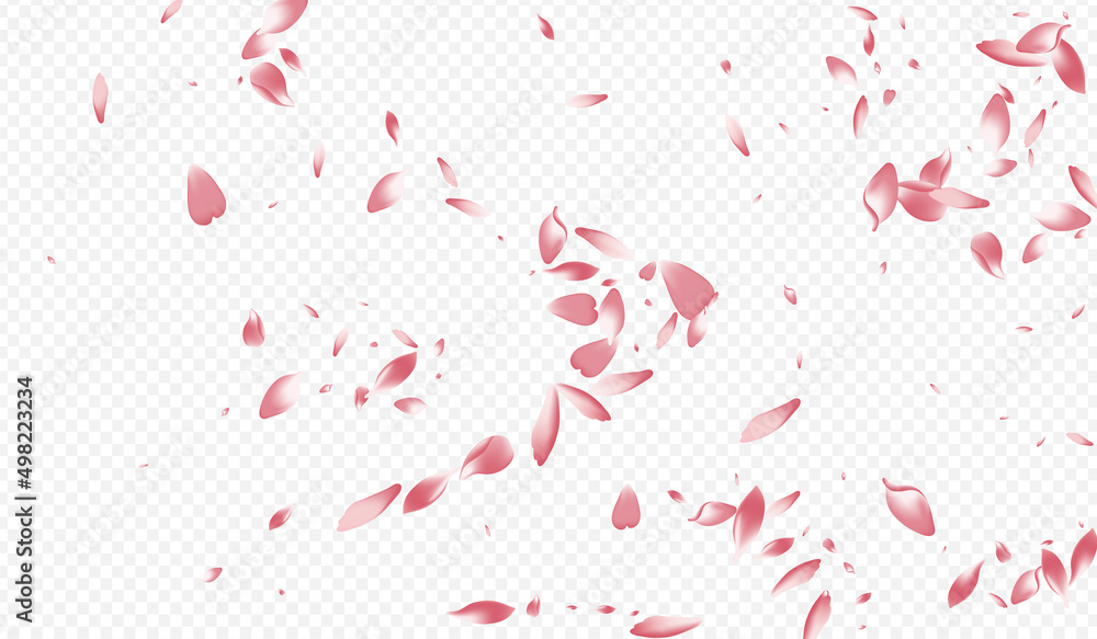 White Rosa Vector Transparent Background. Flower White Rosa Vector Transparent Background. Flower