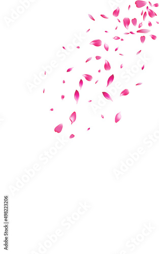 Beautiful Rose Flying Vector White Background.