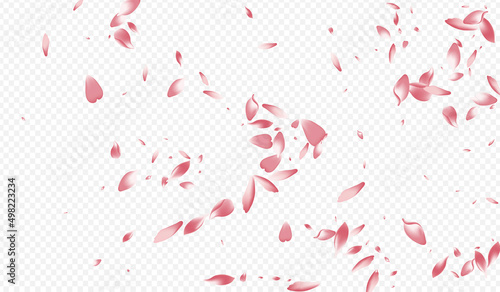White Rosa Vector Transparent Background. Flower