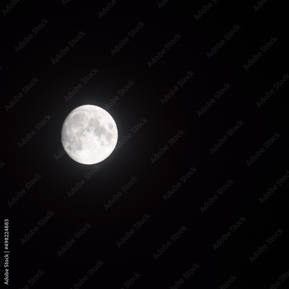 Obraz premium Moon Timelapse, Stock time lapse : Full moon rise in dark nature sky, night time. Full moon disk time lapse with moon light up in night dark black sky. High-quality free video footage or timelapse
