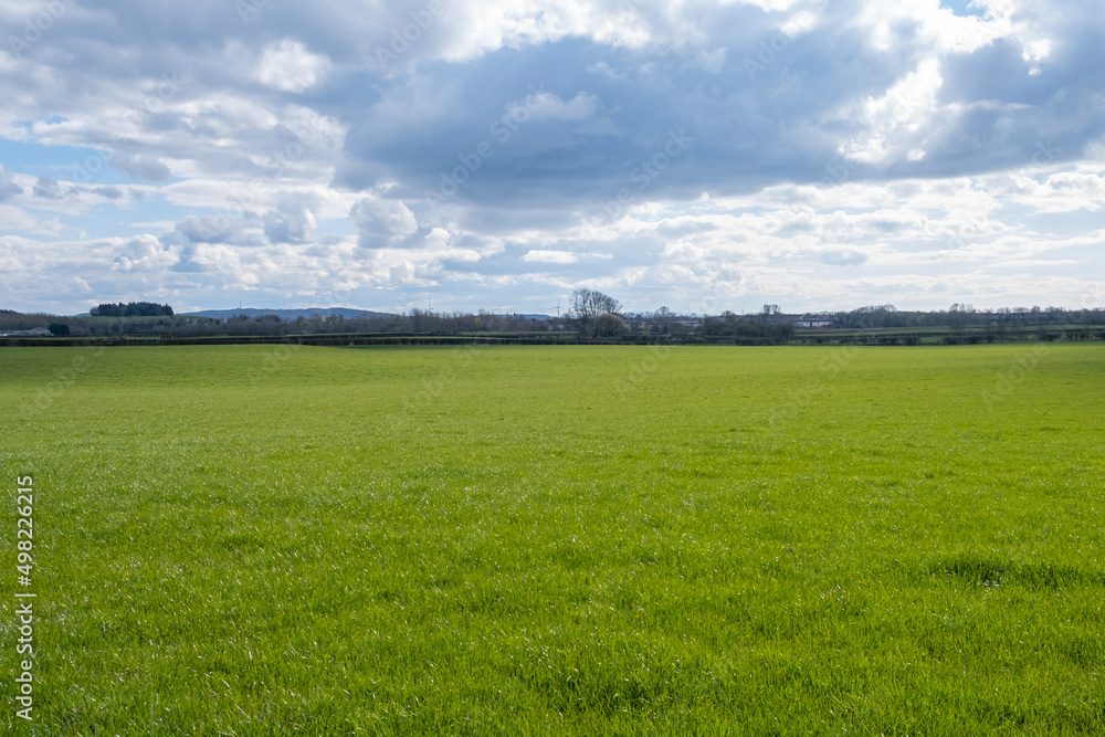Beautiful Scottish Farmlands in Burns Country with farming fields and trees and hedgerows looking towards the village of Dreghorn in the far distance. Beautiful Scottish Farmlands in Burns Country with farming fields and trees and hedgerows looking towards the village of Dreghorn in the far distance.