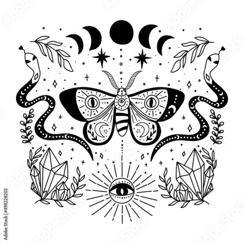 Composition of mystic moth. Decorated with magic elements.