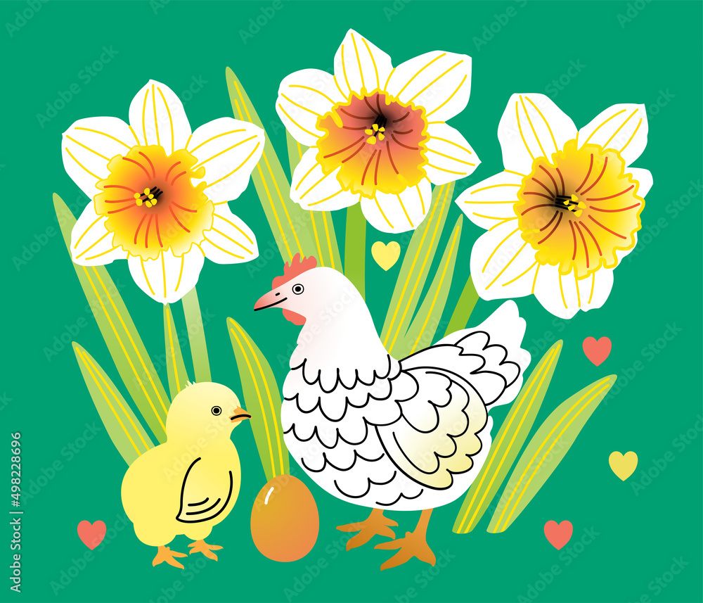 Fototapeta premium Easter vector illustration with hen, egg and chick among blooming daffodils