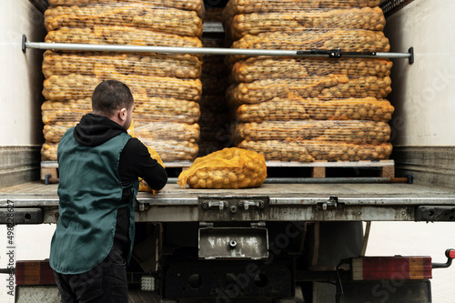 worker loads potatoes into a truck. clean potatoes in bags stacked in the car and waiting to be sent. man shifts a bag with potatoes. vegetable delivery service