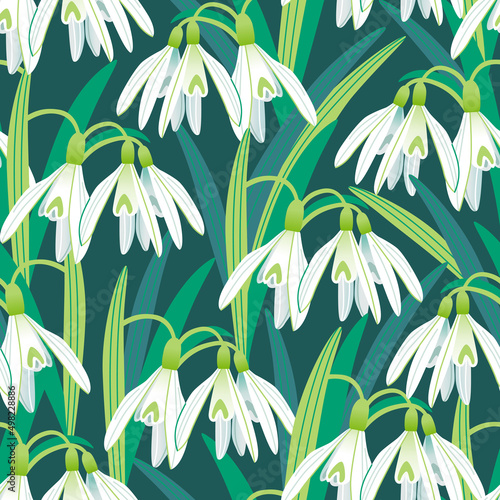 Vector seamless pattern with blooming snowdrops on a dark background