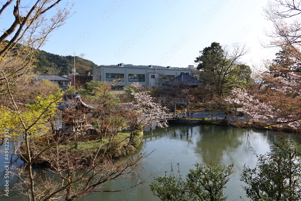 Hojyo-chi Pond and Benten-jima Island and Kinun-bashi Bridge in the precincts of Zenrin-ji Temple in Kyoto City in Japan 日本の京都市にある禅林寺境内の放生地と弁天島と錦雲橋