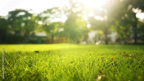 B roll - Close up fresh grass in well maintained large garden seen in early summer in sunset, showing the distant sun about to set.