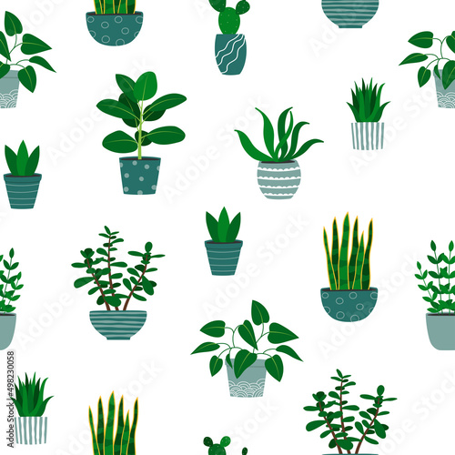 Seamless pattern of houseplants in flowerpots. Cartoon colorful plants on white background