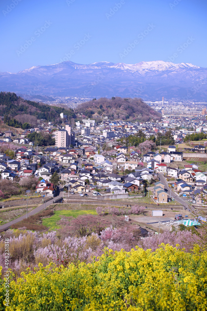 福島市　花見山　生け花の里　希望の鐘展望台から見た景色