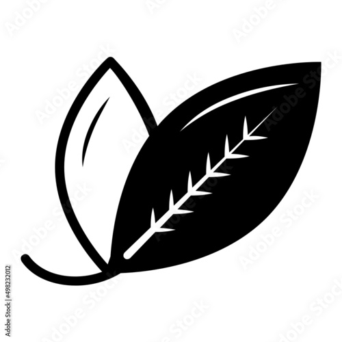 Fresh Lauraceae vector icon design, Condiments and Spices symbol, Food cooking ingredients Sign, Herbs and table sauce stock illustration, Bay laurel leaves Concept,