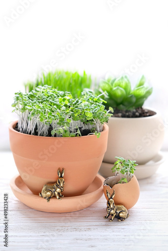 miniature bronze bunnies and micro green plants in pots on table, abstract white background. festive spring season. decoration for Ostara, Easter holiday