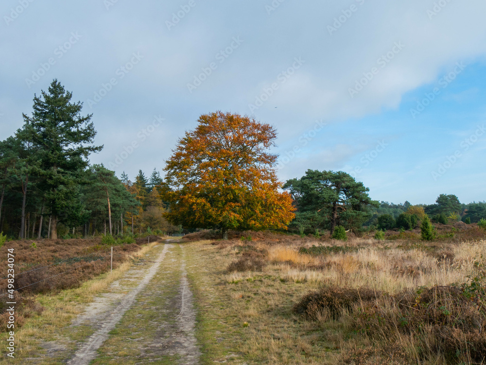 Echten nature reserve in Drenthe