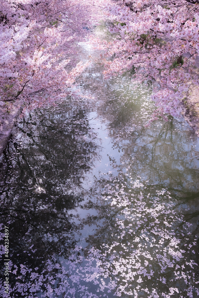 京都 京都