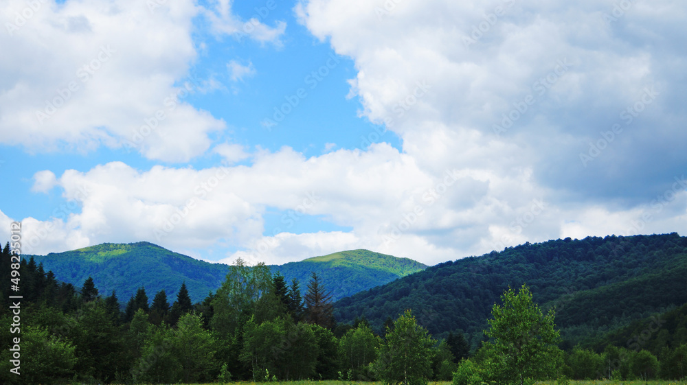 Panoramic view of the Carpathian mountains covered with green grass and forest on a summer sunny day