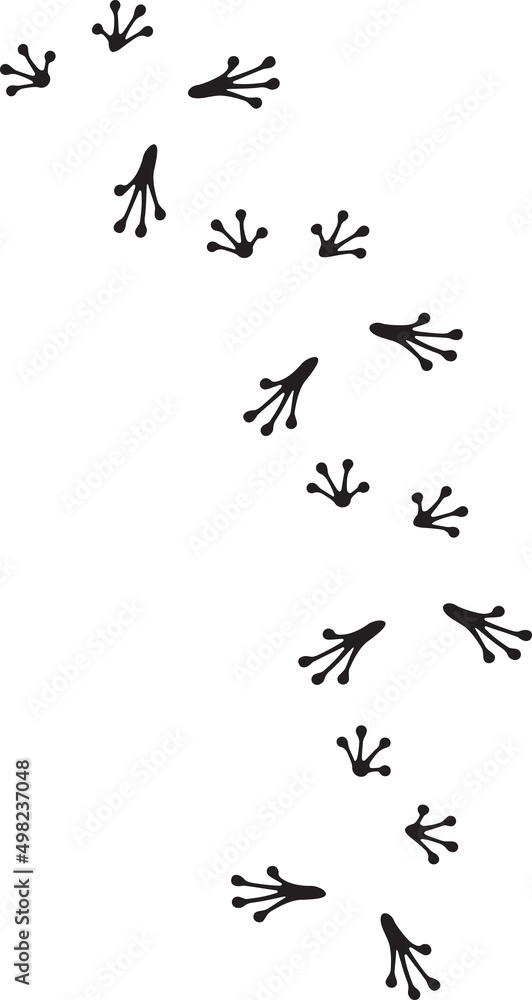 Frog footprints black and white. Vector illustration.