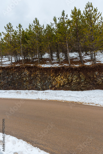 Close up asphalt muddy rural mountain road with pine tree close