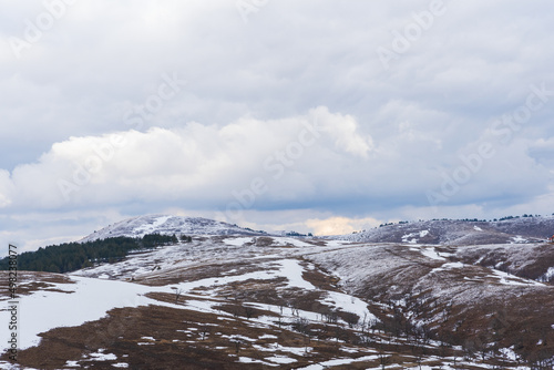 Mountain grass and tree dry meadow covered with snow and cloudy sky background