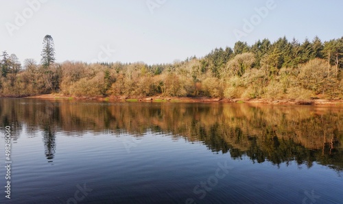 autumn trees reflected in water