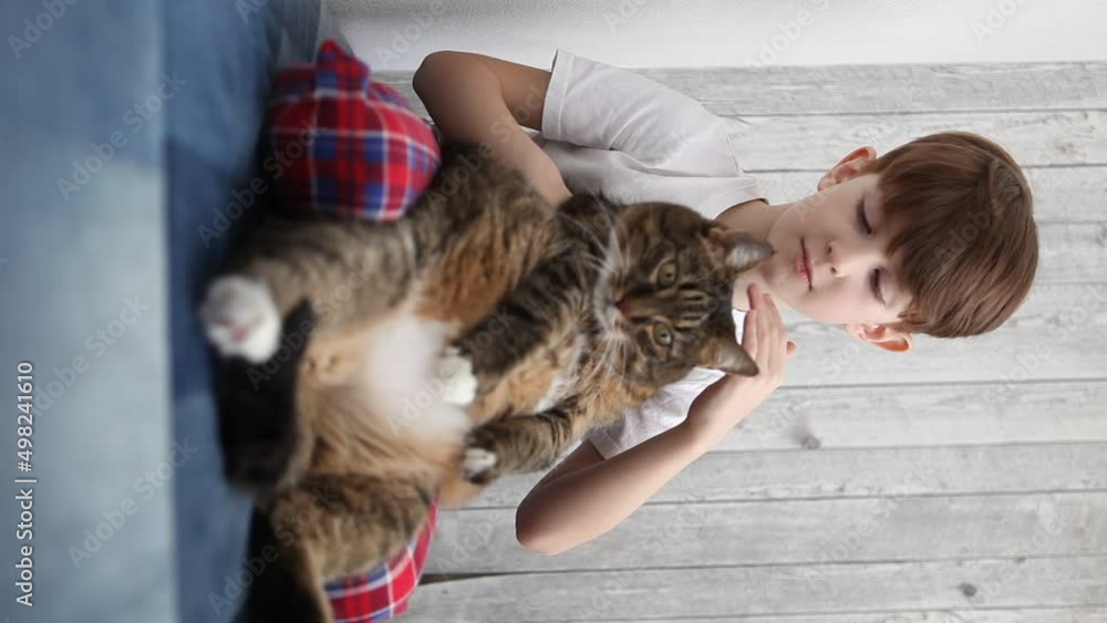 Boy scratches, strokes and cuddles a tabby cat in his hands. Family, people and animals, friendship pet children together. Love, care, affection. Boy scratches, strokes and cuddles a tabby cat in his hands. Family, people and animals, friendship pet children together. Love, care, affection.