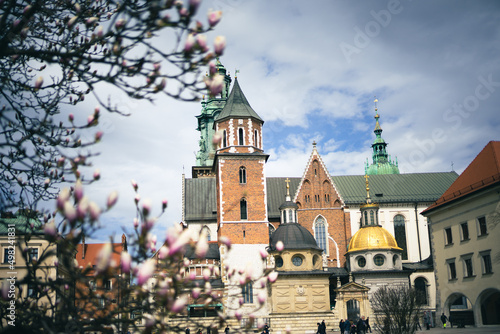 Wawel Castle in Krakow on a background of blooming magnolias