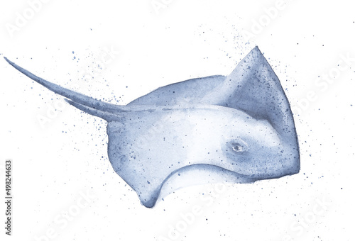 Isolated watercolor illustration. Stingray on a white background.