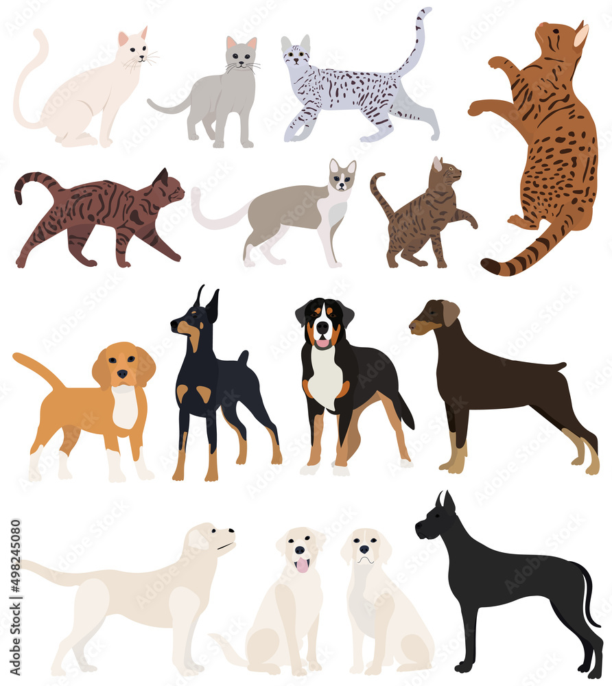 Obraz premium cats and dogs set flat design, isolated, vector