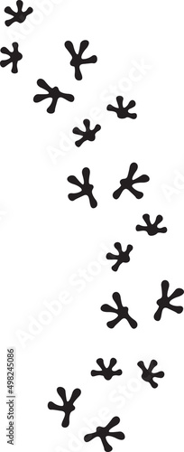 Lizard footprints black and white (print track). Vector illustration.