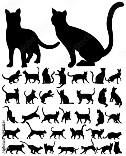 cats set silhouette  isolated on white background vector