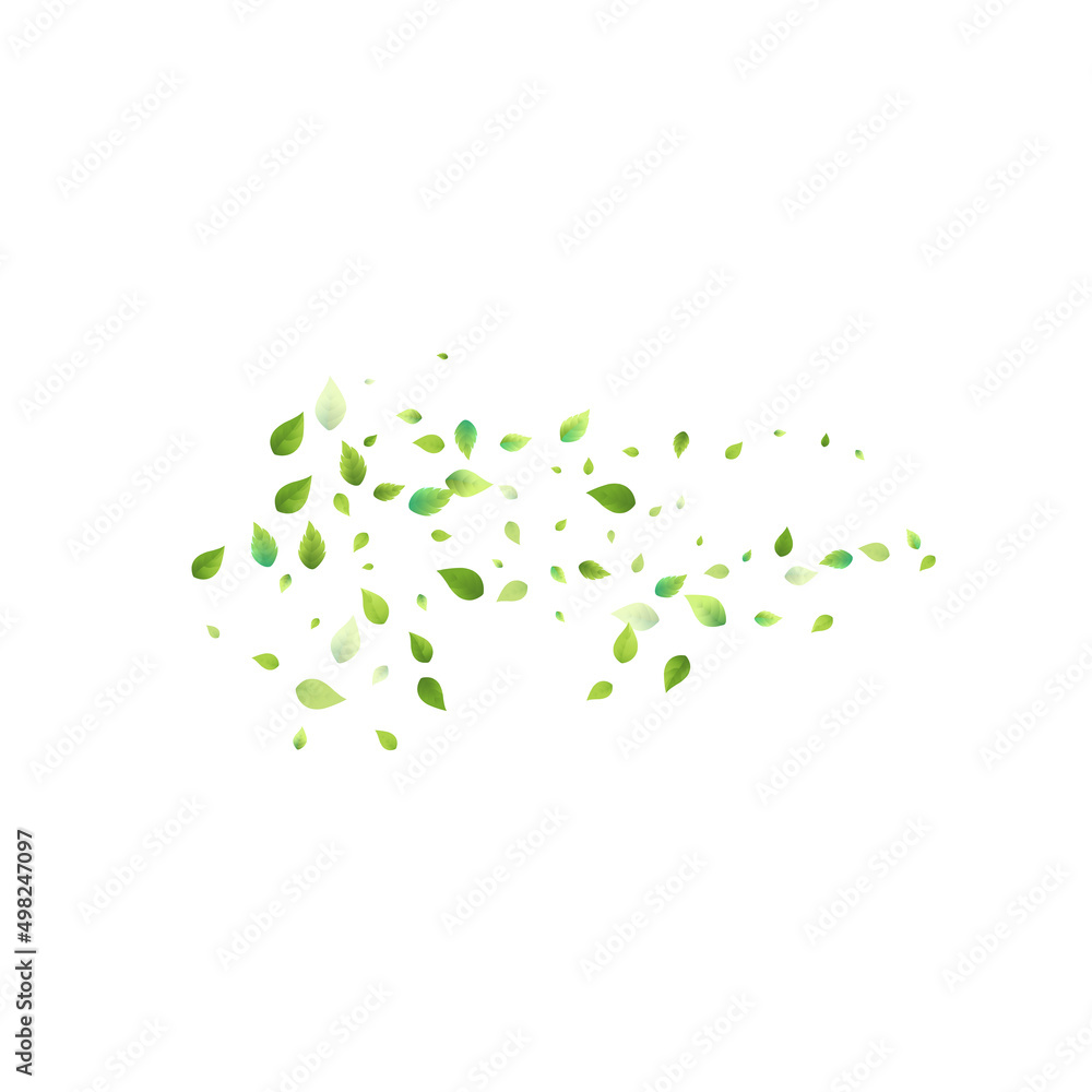 Leaves Green Falling Flying Foliage Leaf Tea Mint Leaves Green Falling Flying Foliage Leaf Tea Mint
