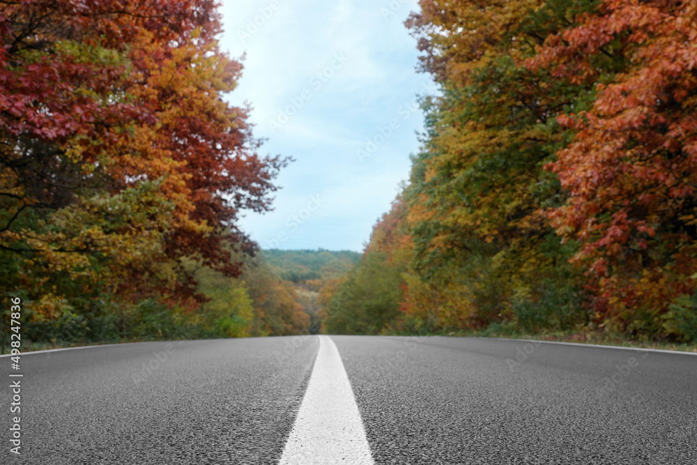 Beautiful view of asphalt highway going through autumn forest Beautiful view of asphalt highway going through autumn forest