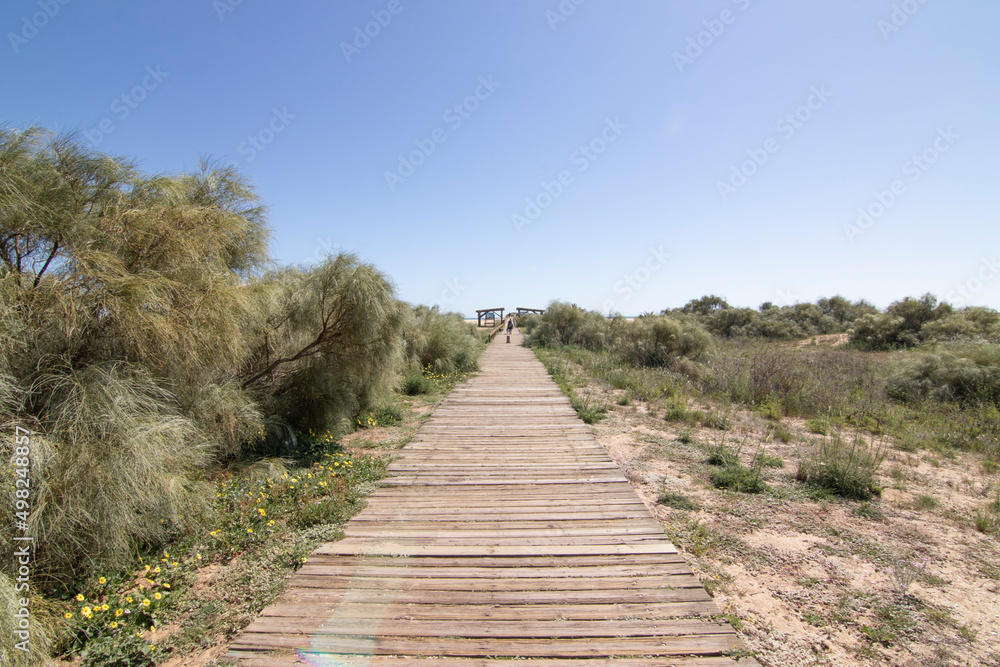A wooden walkway, on the beach of Isla Cristina, Spain. Widely used by vacationers on vacation.
