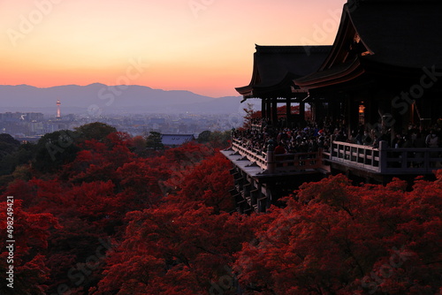 Wallpaper Mural 清水寺　京都　日本 Torontodigital.ca