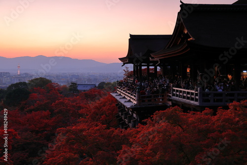 Wallpaper Mural 清水寺　京都　日本 Torontodigital.ca