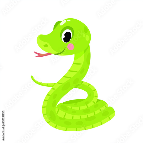 Vector illustration of cute Snake on white background 