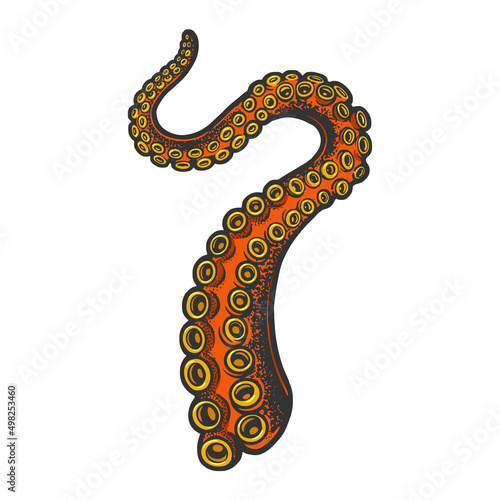 octopus tentacle sea food color sketch engraving vector illustration. T-shirt apparel print design. Scratch board imitation. Black and white hand drawn image.