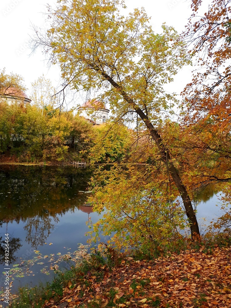 autumn in the park