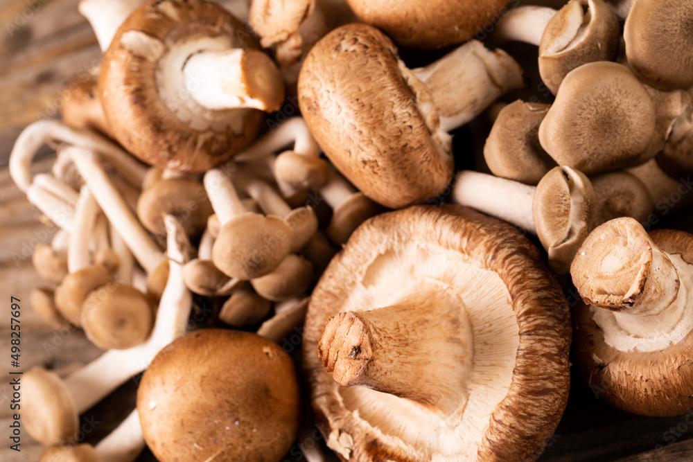 Close-up of fresh brown mushrooms and small mushrooms on table Close-up of fresh brown mushrooms and small mushrooms on table