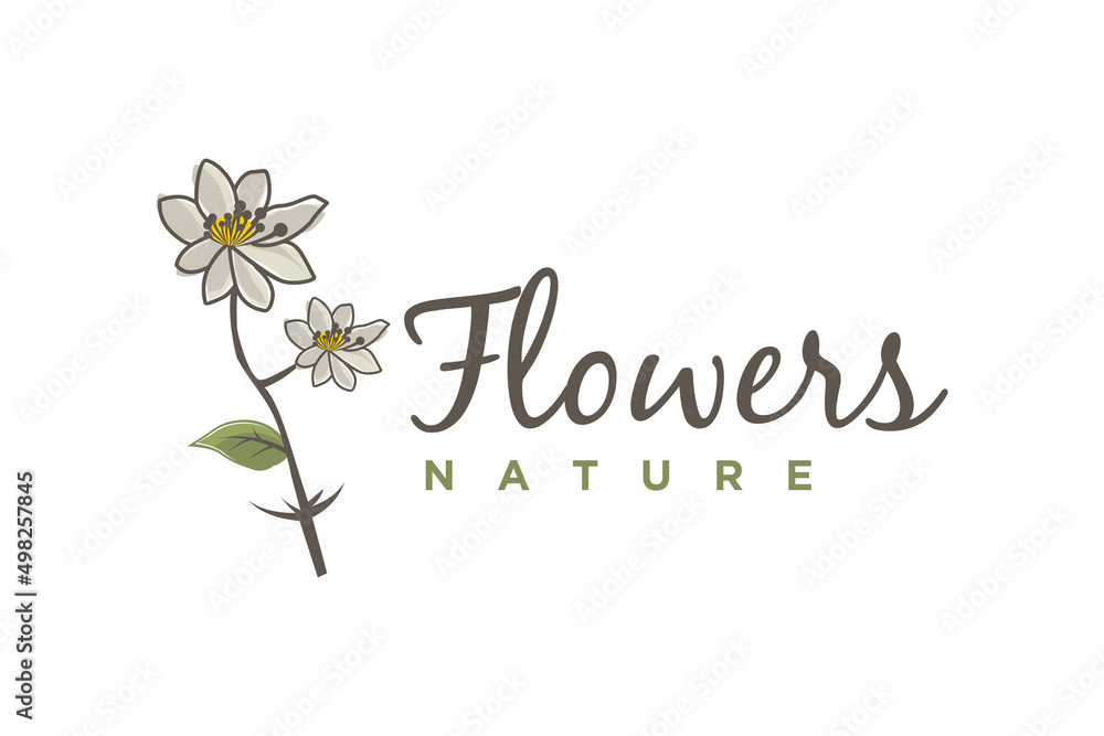Beauty Artistic Mountain Aven Flower illustration logo design