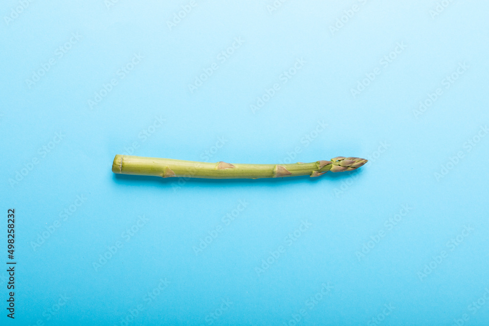 Fototapeta premium Directly above view of single raw green asparagus vegetable by copy space over blue background