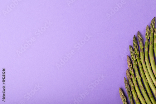 Directly above view of copy space with raw asparagus arranged side by side on purple background