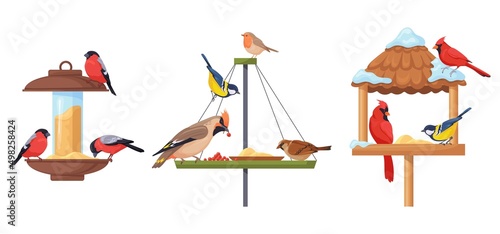 Bird feeder. Winter food feed for birds, woodland feeding cardinal chickadee, garden hanging backyard birdhouse with seeds, wildlife construction, poster vector illustration