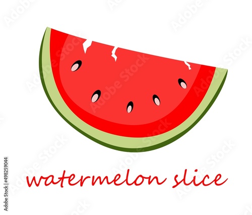 ripe slice of watermelon. colorful vector illustration