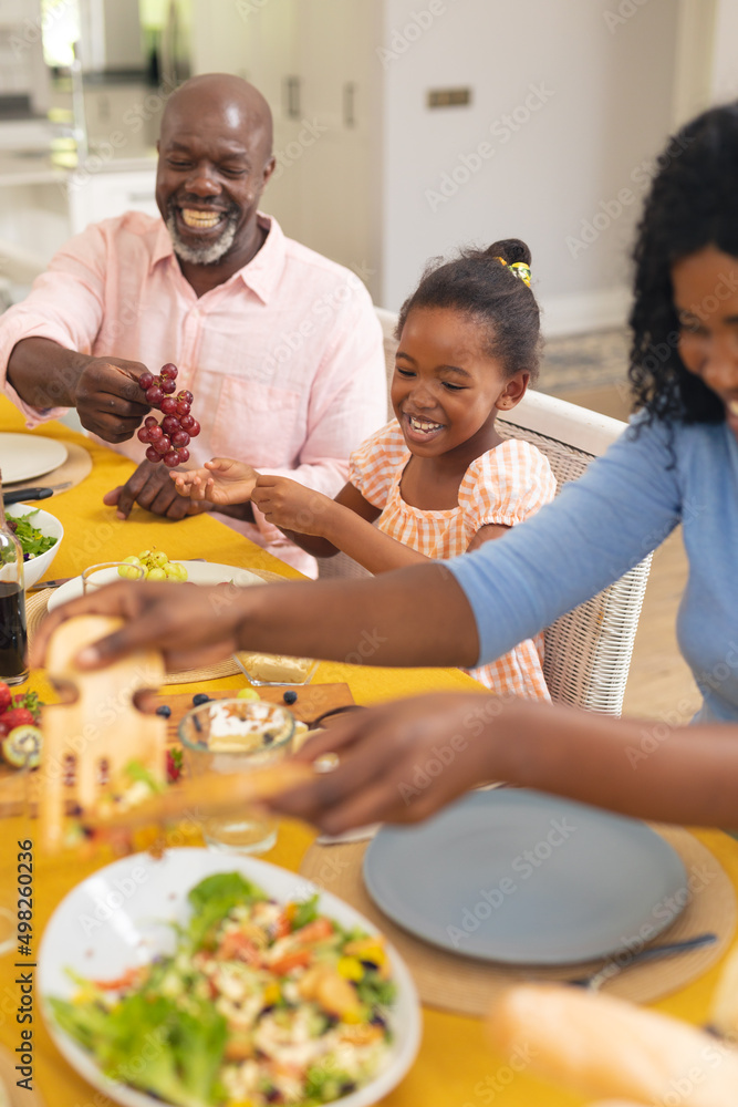Cheerful african american multi-generational family having lunch at home on thanksgiving day Cheerful african american multi-generational family having lunch at home on thanksgiving day