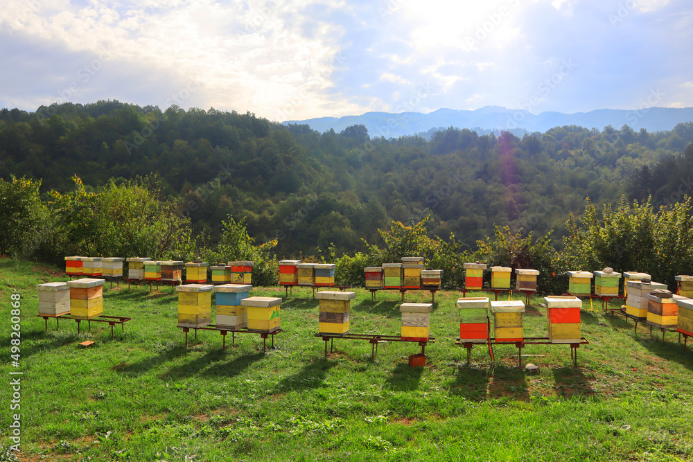 Bee hives in Moracha Monastery in Montenegro Bee hives in Moracha Monastery in Montenegro