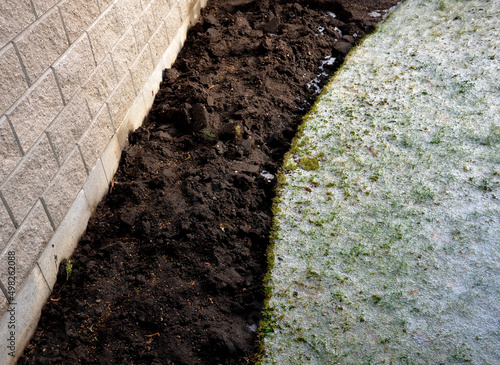 a shower of hail covered the lawn in the garden. daisy flowers closed the petals in shock. spring variable weather when the weather changes rapidly photo